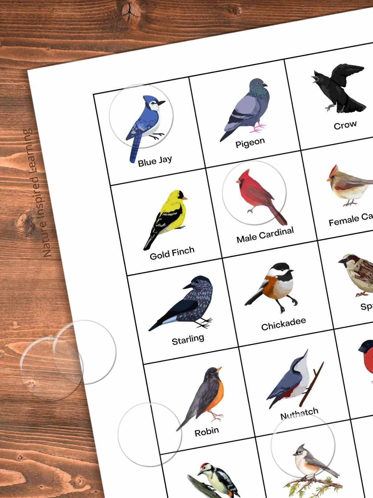 calling cards for a backyard bird bingo game with colorful real life bird clip art on a wooden background with clear plastic bingo chips