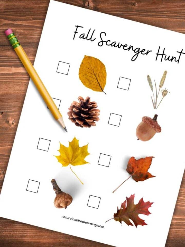 fall scavenger hunt printable with nature items slanted on a wooden background with a pencil on top