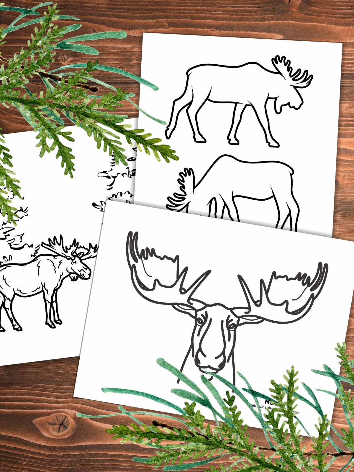three black and white moose coloring pages overlapping on a wooden background with evergreens bottom right and upper left