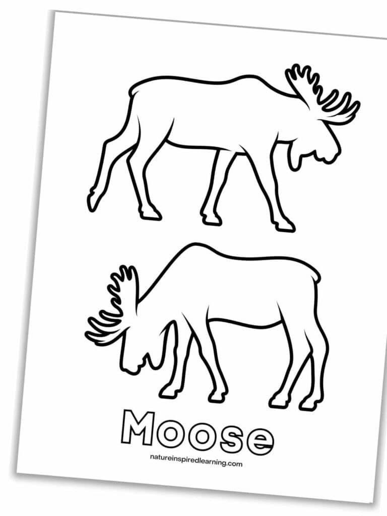 Moose Coloring Pages - Nature Inspired Learning