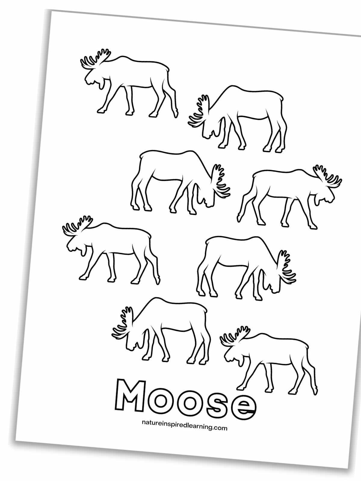 black and white printable with outlines of moose randomly arranged with Moose in outline form at the bottom