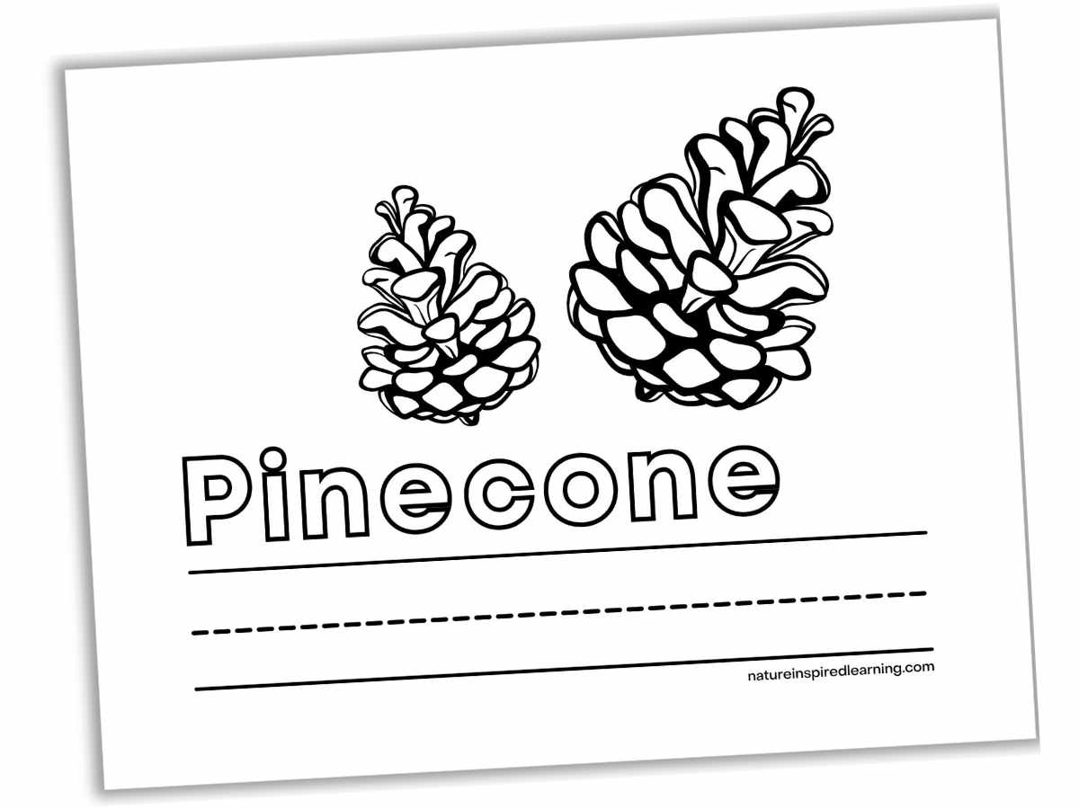 black and white printable with two pinecones slanted with the word Pinecone below in outline form with lines for writing below