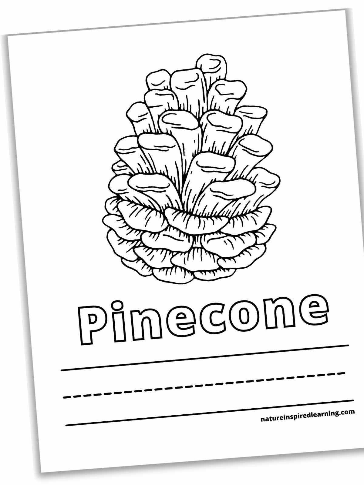 printable with a large black and white pinecone with the word written below in outline form with lines for writing