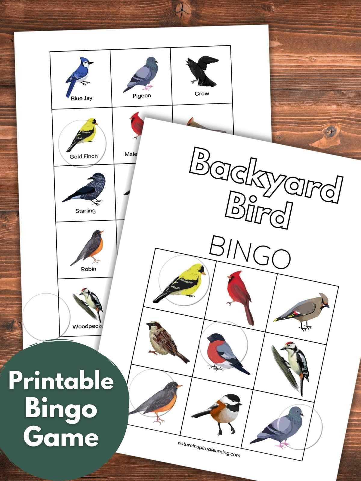 a printed out bird bingo game card on top of colorful bird calling cards both on a wooden background with clear plastic bingo chips on top with a dark green circle bottom left with white text overlay