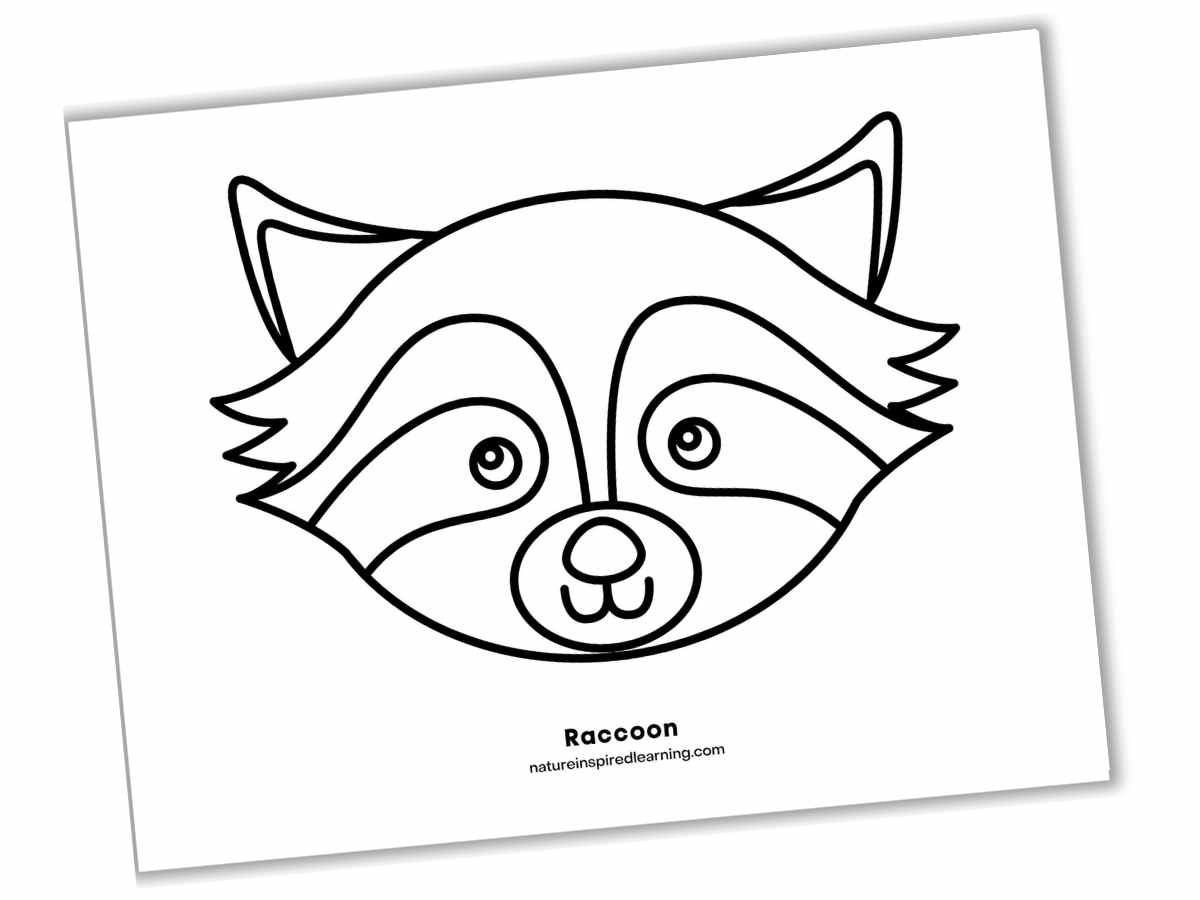 simple black and white outline of a raccoon face
