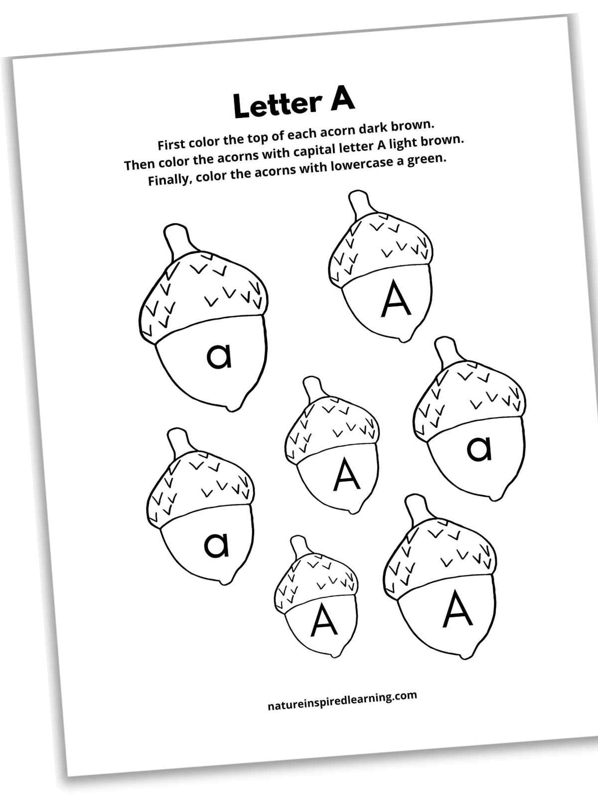 black and white worksheet with acorns with capital A's and lowecase a's on them