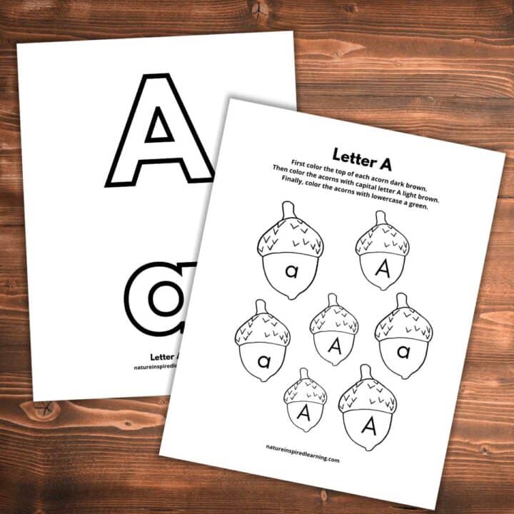 two overlapping worksheets with capital and lowercase a's on a wooden background. Front worksheet has acorns with letters inside.