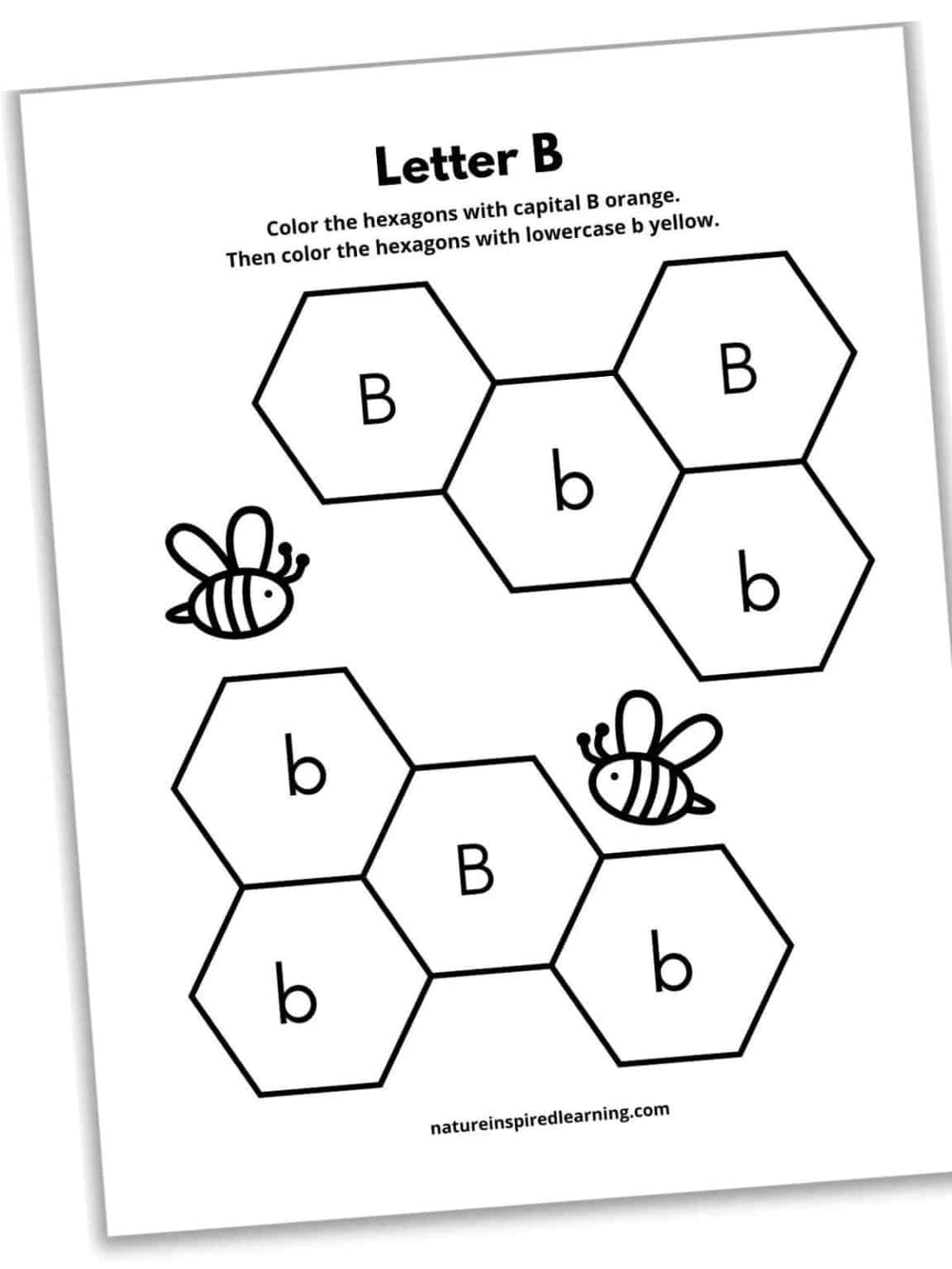 Letter b worksheets nature inspired learning