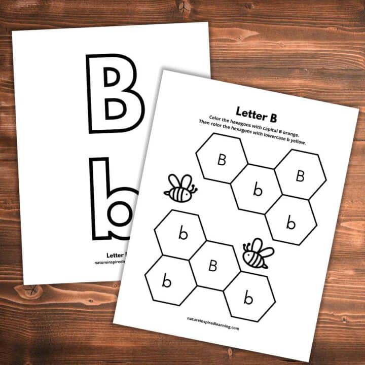 two black and white worksheets overlapping with letter b's and honey bee designs on a wooden background