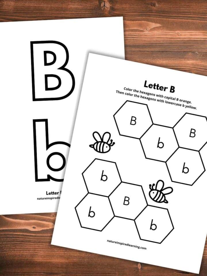two black and white worksheets overlapping with letter b's and honey bee designs on a wooden background
