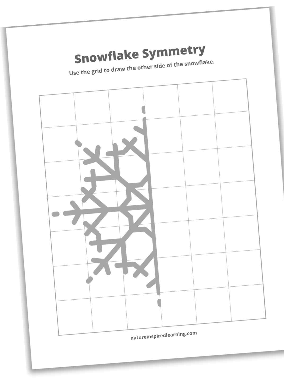 printable slanted with half of a snowflake design on grid paper in black and white