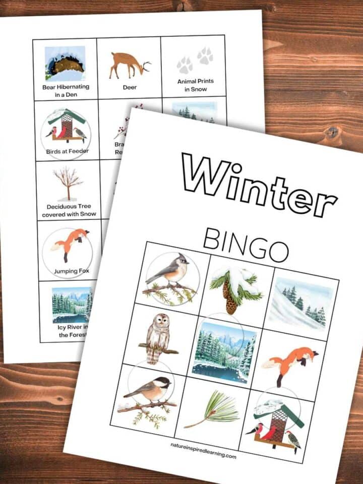 Printable winter bingo card overlapping the calling cards on a wooden background with clear bingo chips on top. Colorful winter objects and scenes including birds, snow, and pine needles.