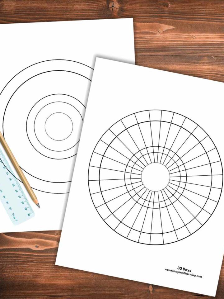 two overlapping calendars in circle form one with lines one without lines with a clear ruler and a pencil on top with a wooden background.