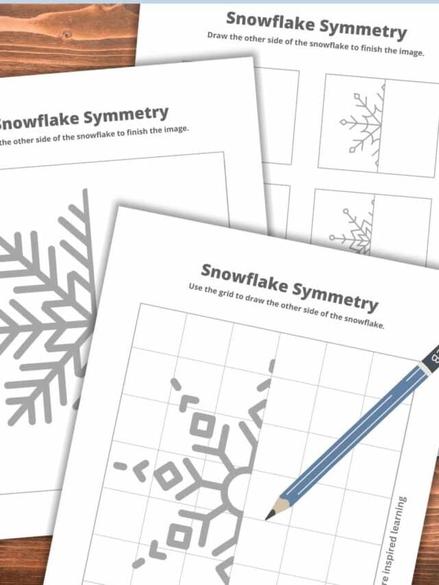 Snowflake Symmetry Worksheets