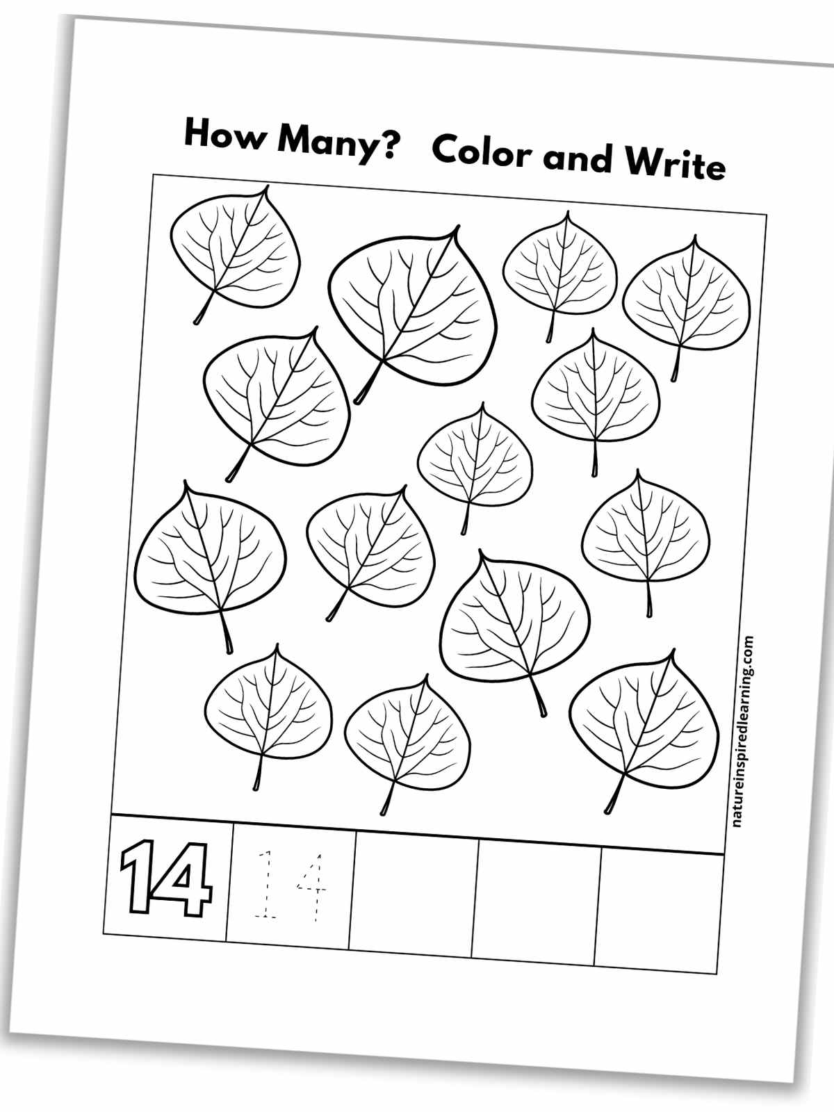 black and white number fourteen worksheet with leaves, outline of number 14, a traceable 14, and blank boxes slanted with a drop shadow