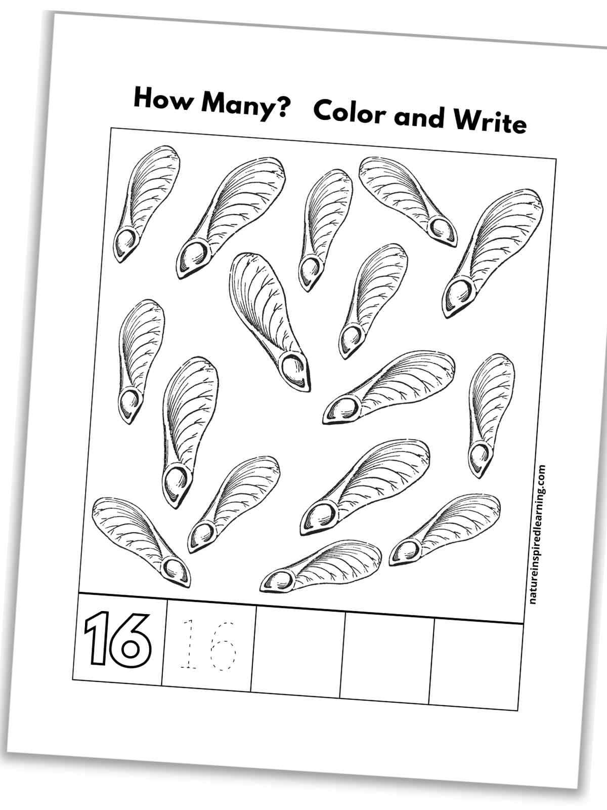 black and white number sixteen worksheet with seeds, outline of number 16, a traceable 16, and blank boxes slanted with a drop shadow