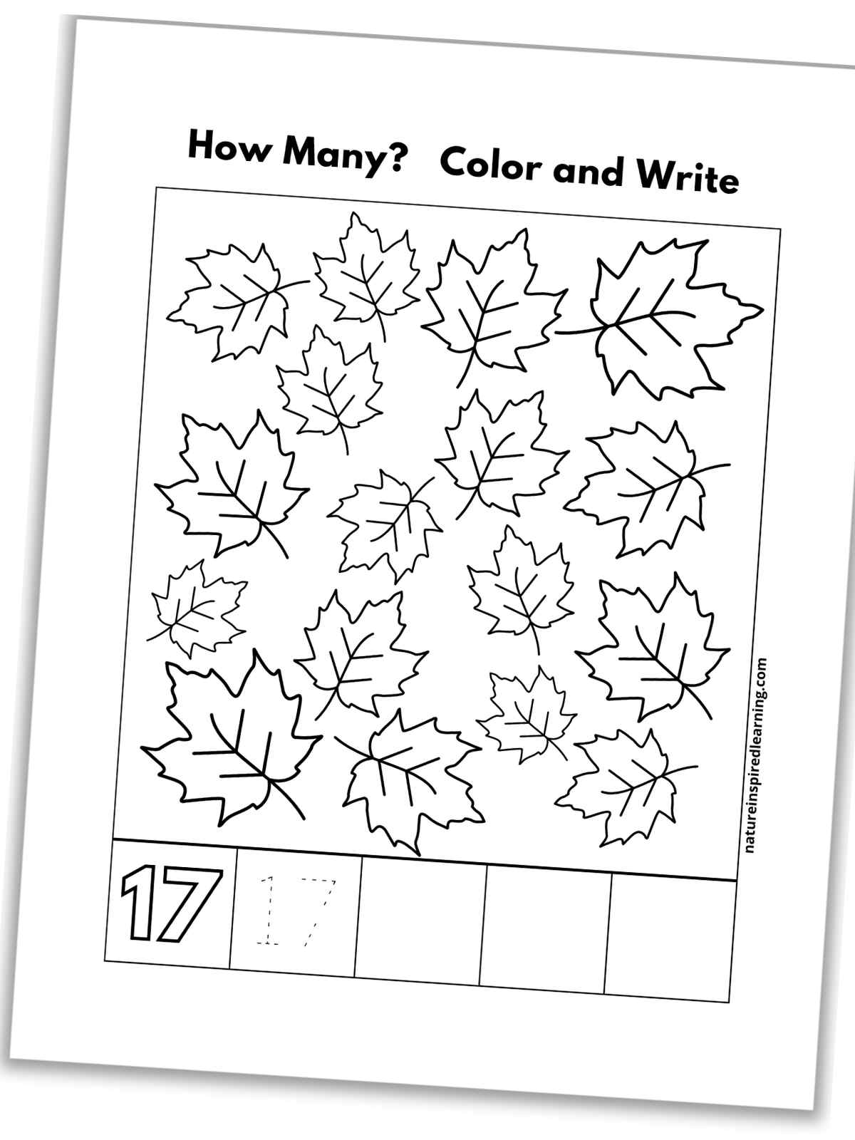 black and white number seventeen worksheet with leaves, outline of number 17, a traceable 17, and blank boxes slanted with a drop shadow