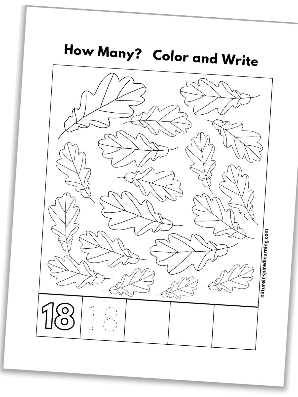 black and white number eighteen worksheet with leaves, outline of number 18, a traceable 18, and blank boxes slanted with a drop shadow