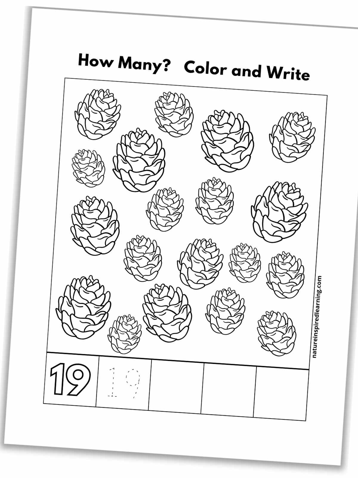 black and white number nineteen worksheet with pinecones, outline of number 19, a traceable 19, and blank boxes slanted with a drop shadow