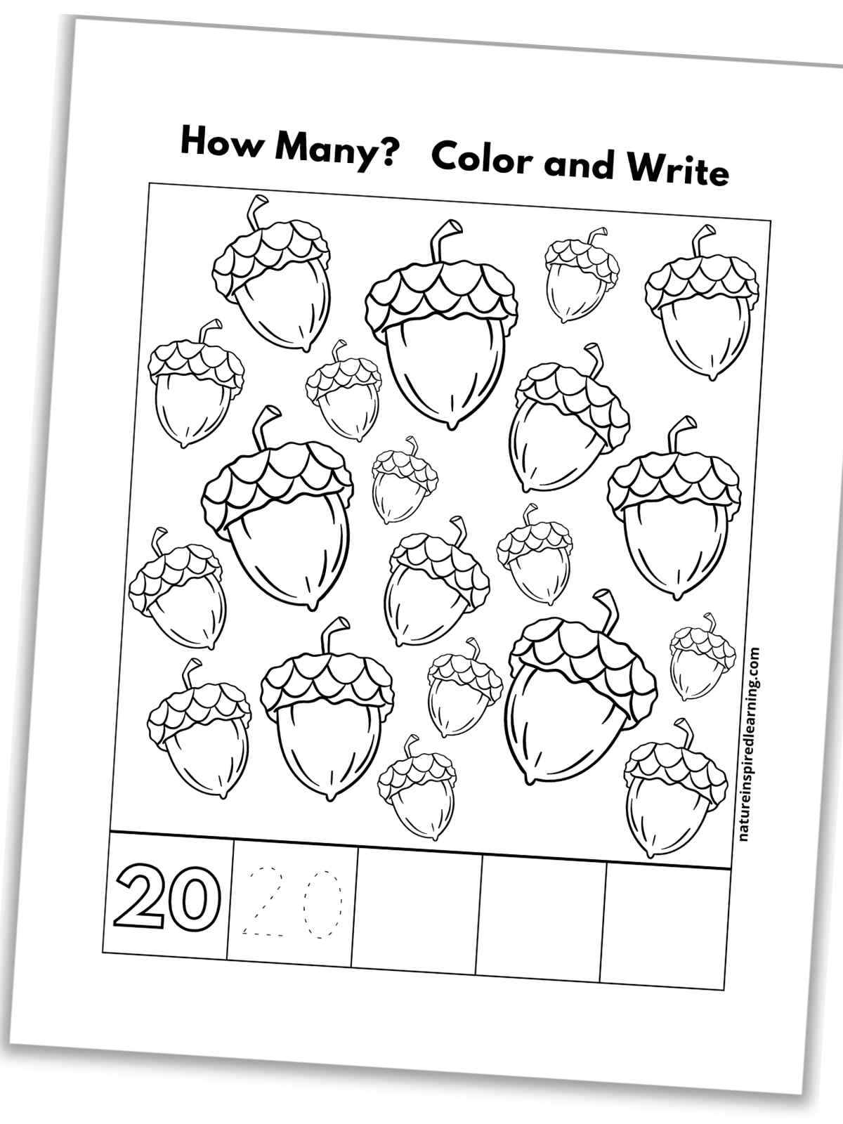 black and white number twenty worksheet with acorns, outline of number 20, a traceable 20, and blank boxes slanted with a drop shadow