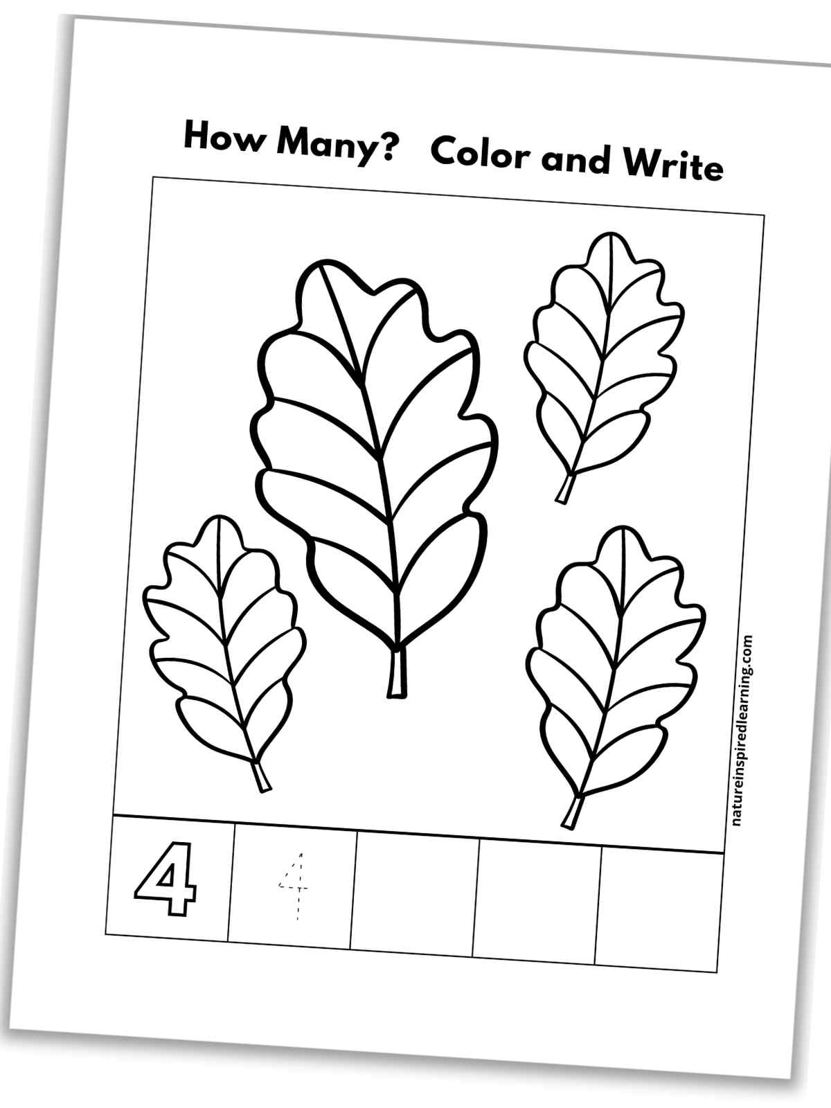 black and white number four worksheet with four leaves, outline of number 4, a traceable 4, and blank boxes slanted with a drop shadow