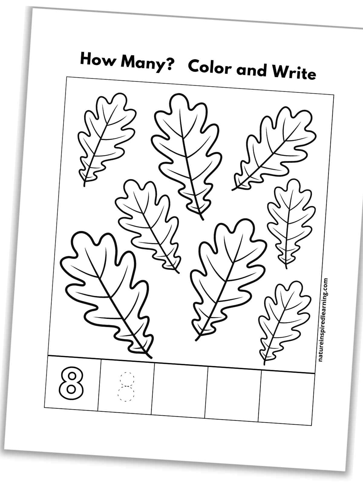 black and white number eight worksheet with leaves, outline of number 8, a traceable 8, and blank boxes slanted with a drop shadow