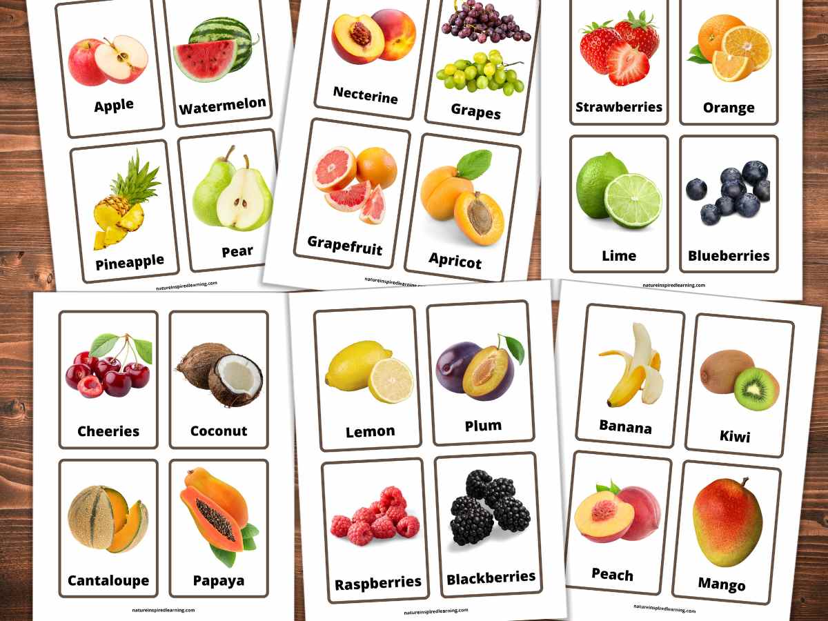 collection of printed out uncut fruit flashcards with realistic images of 24 fruits with labels on a wooden background