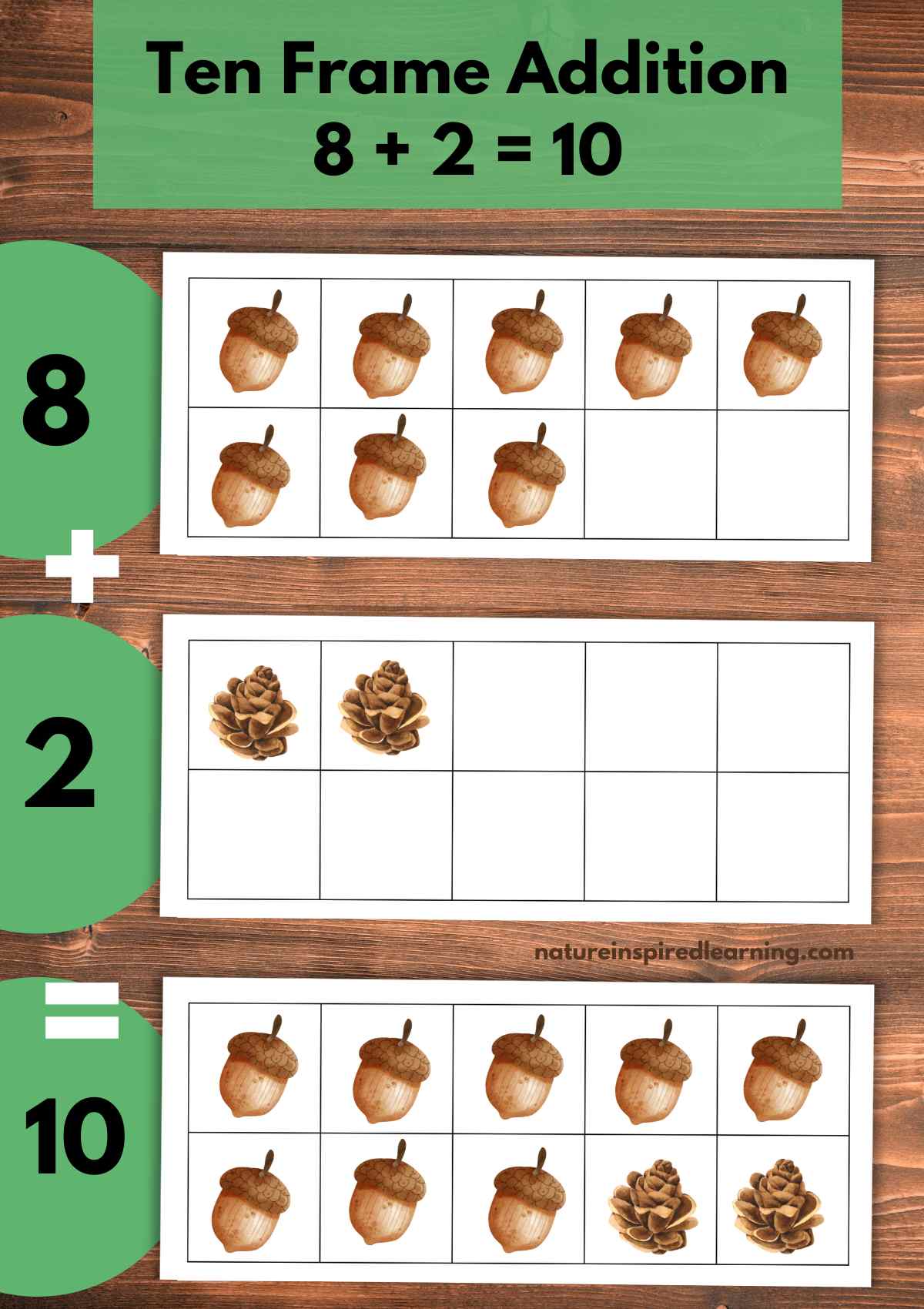Wooden background with a label across the top with a green rectangle. Three ten frames one above the next with acorns and pine cones inside the boxes. Numbers 8, 2, and 10 in circles on the far left with a + and an = sign.