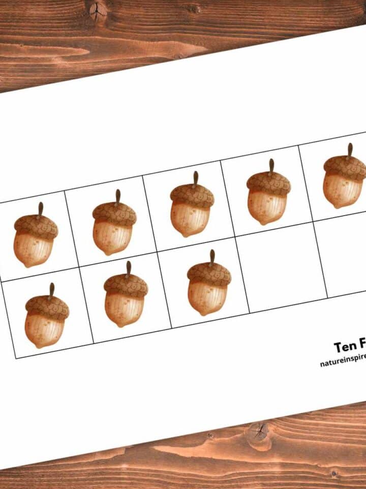 ten frame printable with eight acorns within eight of the ten boxes. Printable slanted on a wooden background.