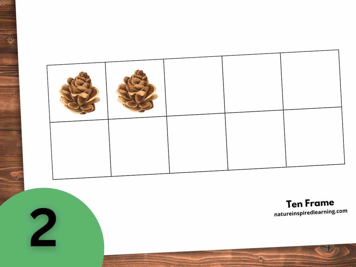 basic ten frame printable on a wooden background with two small pinecones within two of the boxes. A green circle bottom left with the number 2 inside.