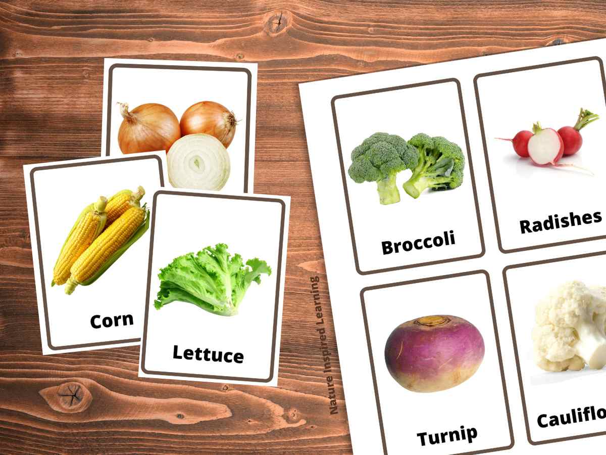 three cut out flashcards with onions, corn, and lettuce overlapping with four more flashcards to the right with broccoli, radishes, turnip, and cauliflower all on a wooden background