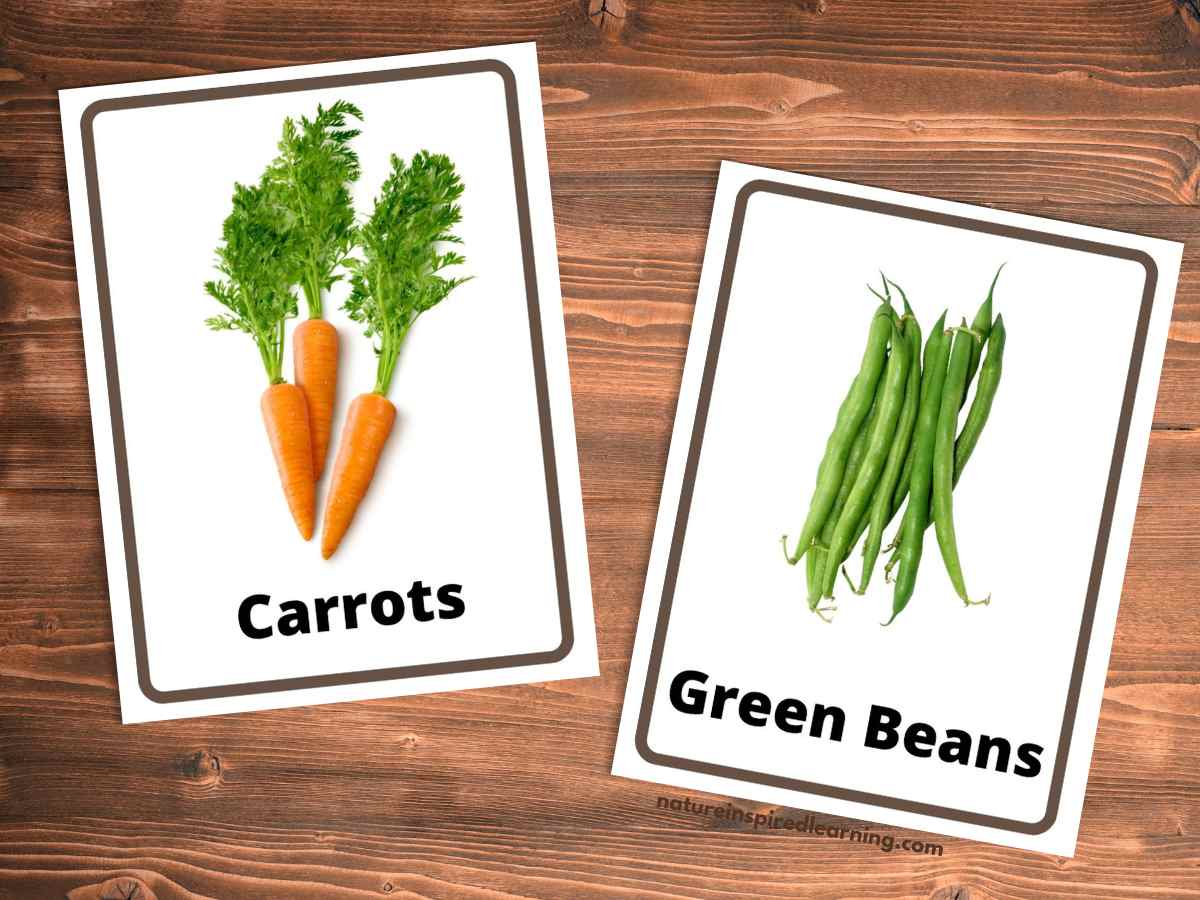 List of Green Vegetables Names For Kids