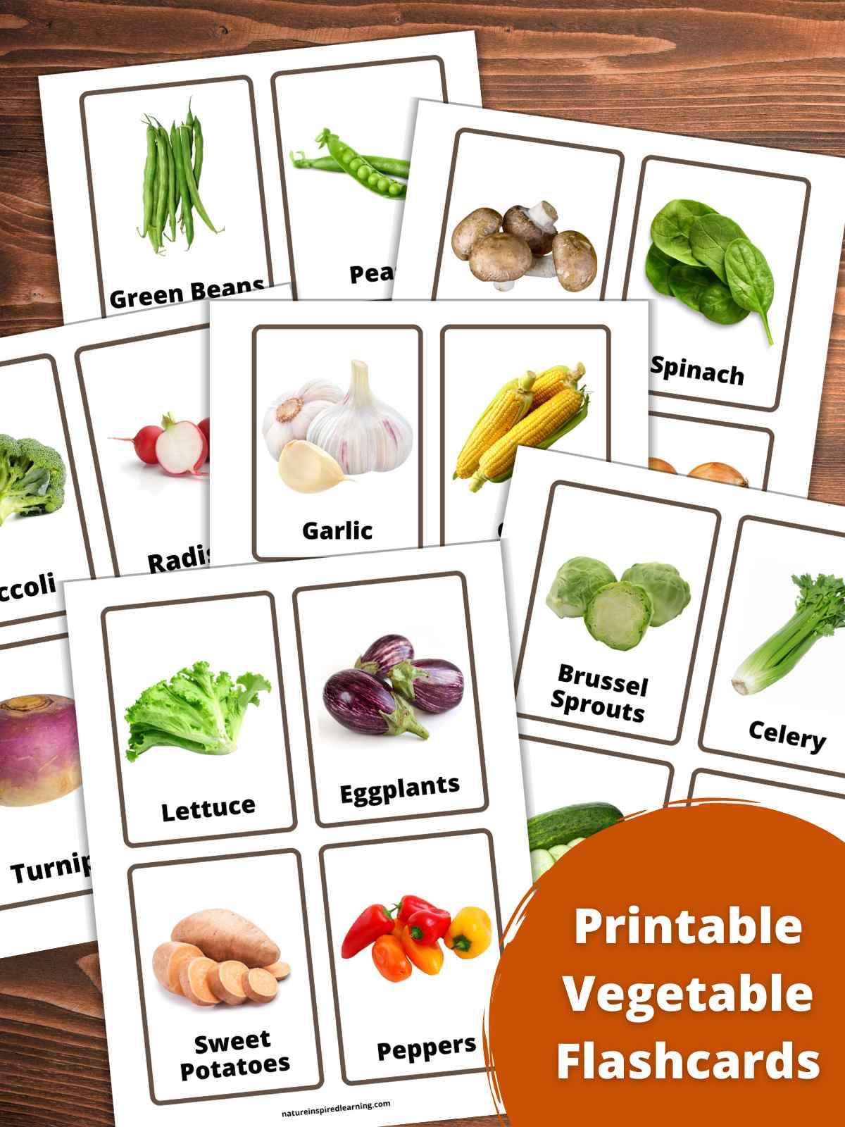 collection of printable flashcards overlapping each other with colorful images of each vegetable and a label all on a wooden background with an orange circle bottom right with text overlay.