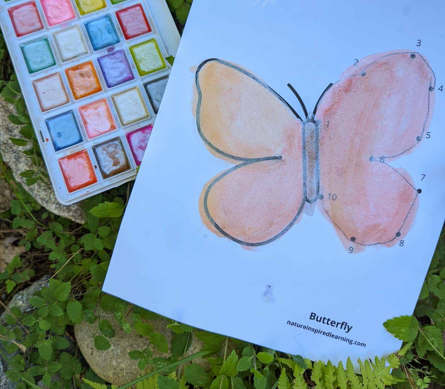 printed off an painted easy dot to dot worksheet with a simple butterfly design outside in the green foliage with a pearly paint set