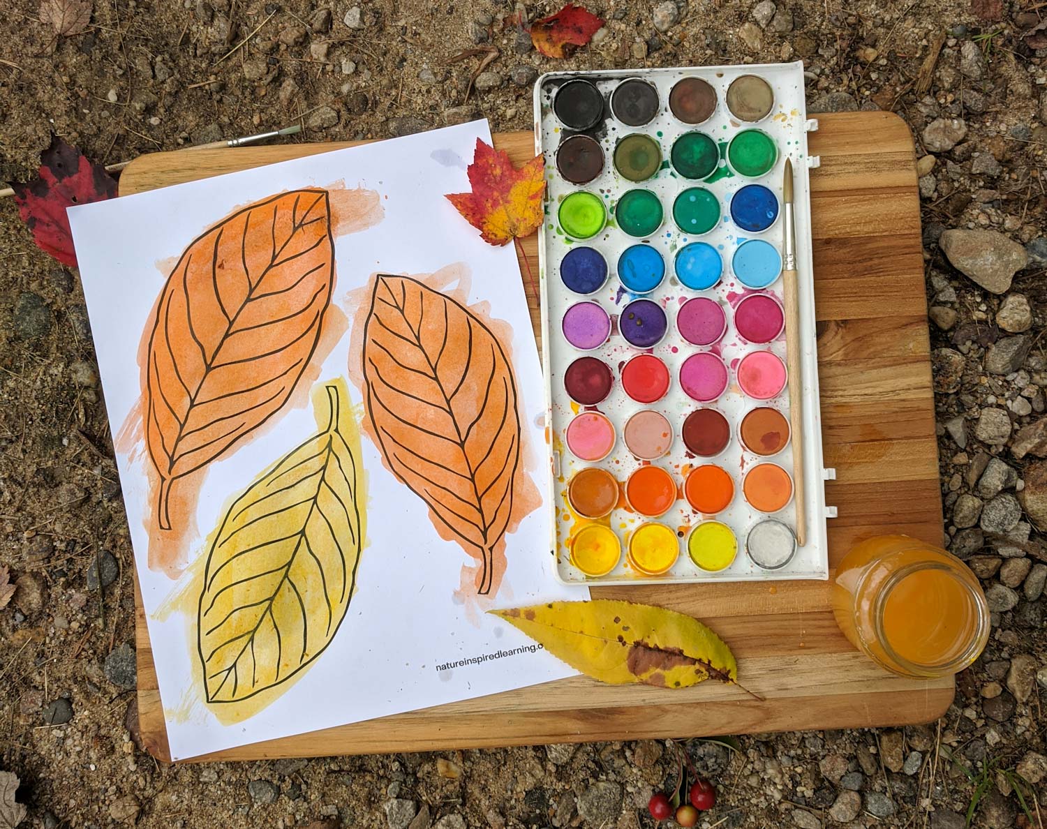 coloring sheet with three leaves painted using watercolor paint on a wooden board outside with water color paint set, water, paint brush on the rocky ground