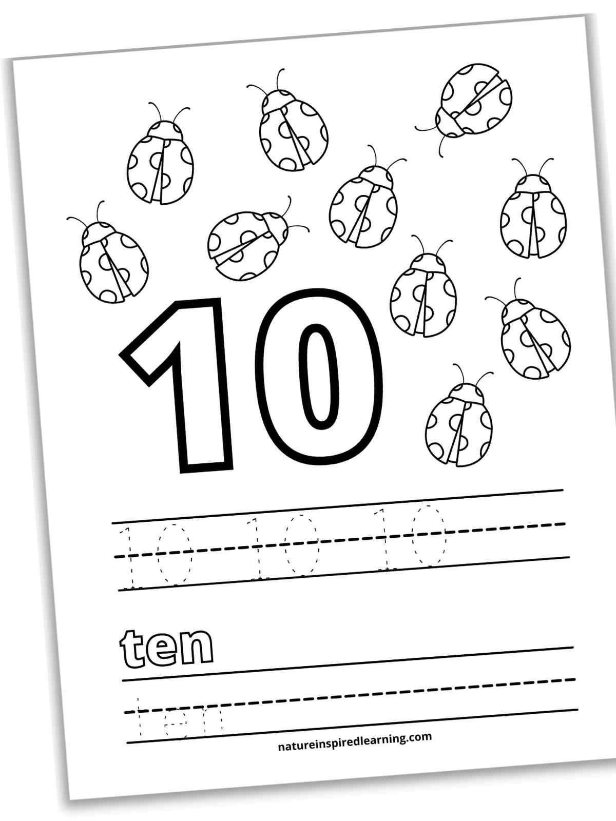 slanted black and white printable with large outline of number 10, ten ladybugs, 10's in traceable font on lines, ten in outline form above lines with ten in traceable font