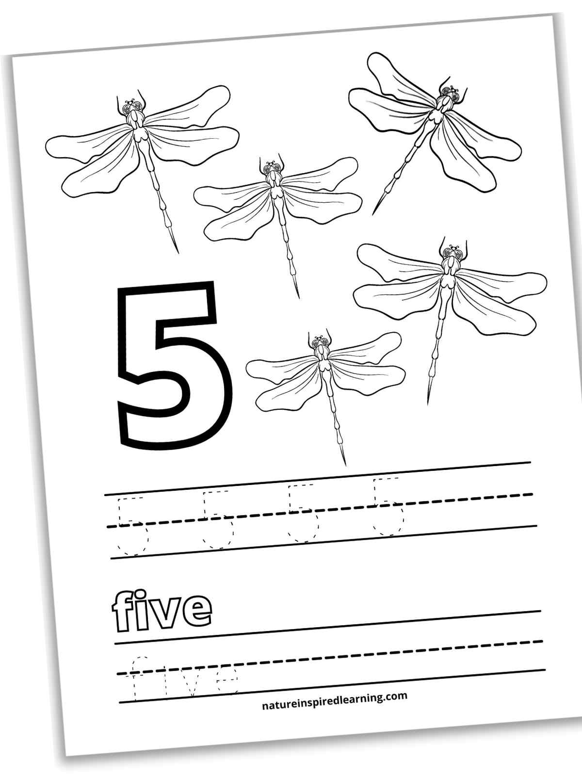 slanted black and white printable with large outline of number 5, five dragonflies, 5's in traceable font on lines, five in outline form above lines with five in traceable font