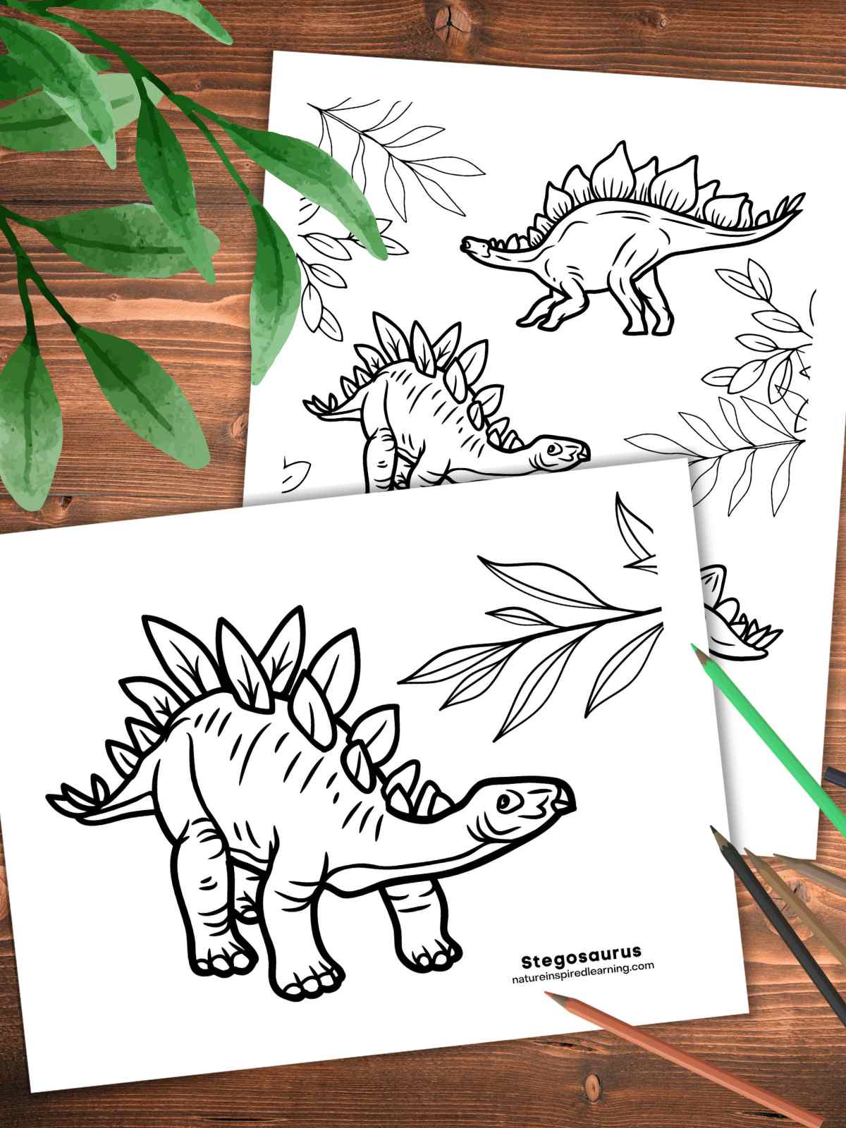 two printable coloring sheets with stegosaurus designs on a wooden background with green leaves upper left and colored pencils bottom left.