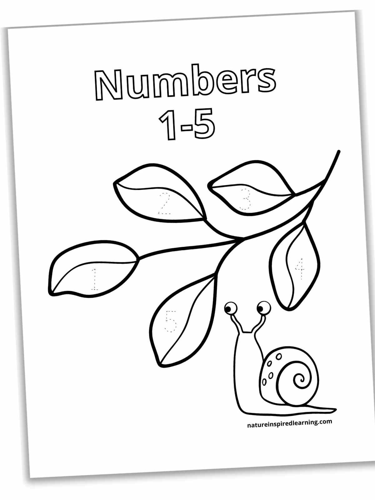 slanted black and white worksheet with a title across the top a branch with five leaves and a snail under the leaves. One number within each leaf in a dotted font.