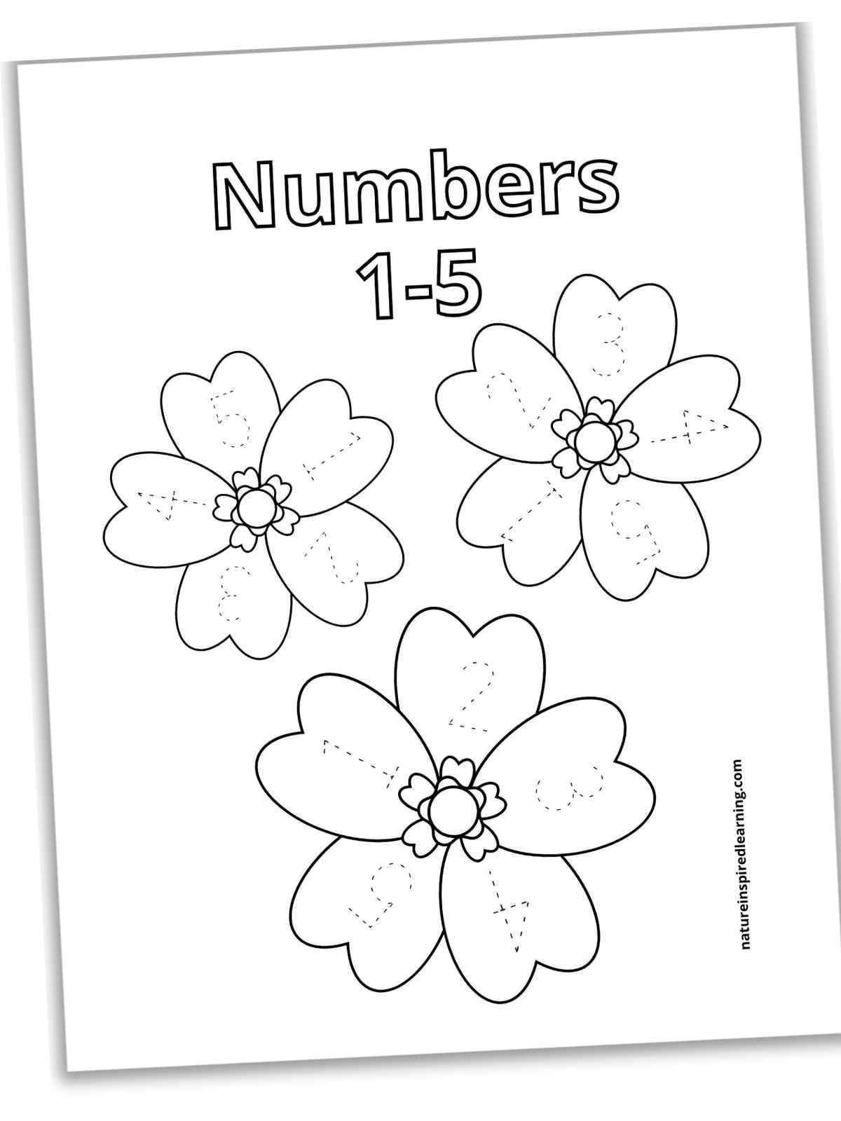 slanted black and white worksheet with the outline of three large flowers with dashed outlines of numbers one, two, three, four, and five on the flower petals.