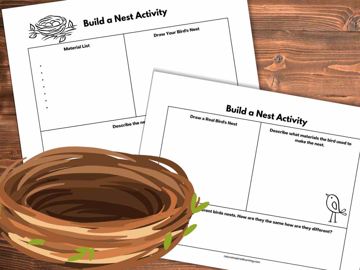 two worksheets for nest building activity overlapping on a wooden background with an empty nest on top on the bottom left corner