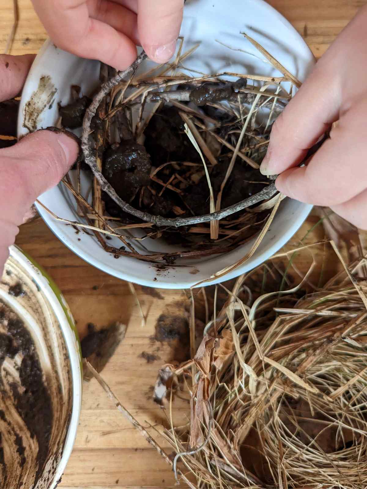 child's hands bending a stick into a bowl with mud and dried grass, adult hand holding the bowl, wooden board below with a birds nest out of dried grasses and a bowl with some mud.
