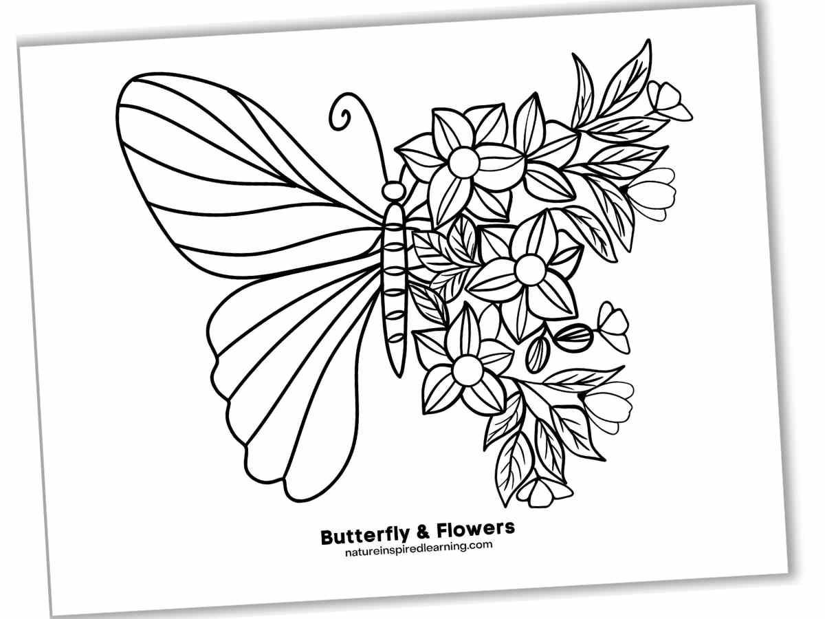 black and white printable with half of a butterfly with regular wings and the other half with wings made up of flowers and foliage