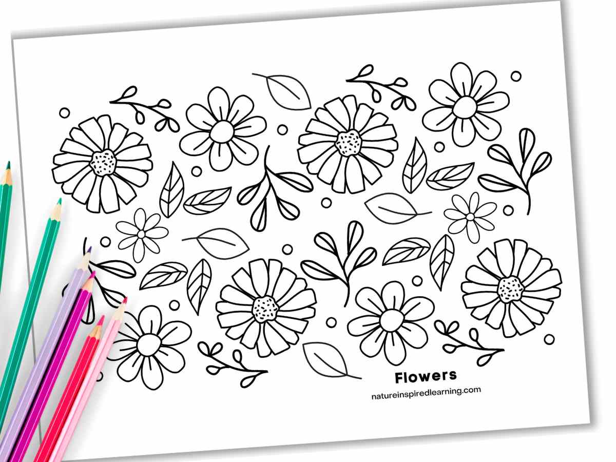 coloring sheet with different flowers and foliage arranged randomly with colored pencils on the left side on top of the printable.