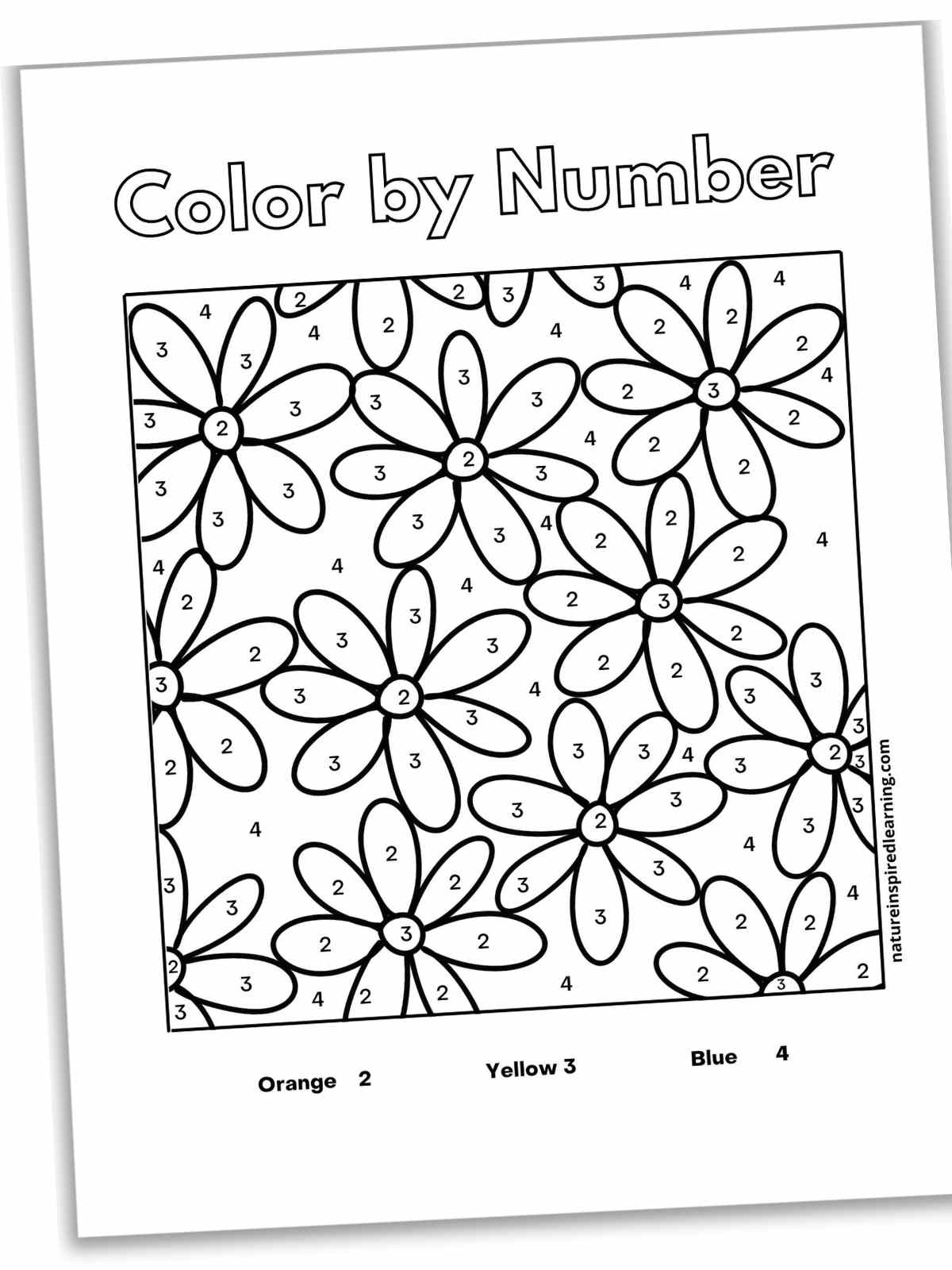 black and white sheet with many small daisies with numbers inside the centers and petals