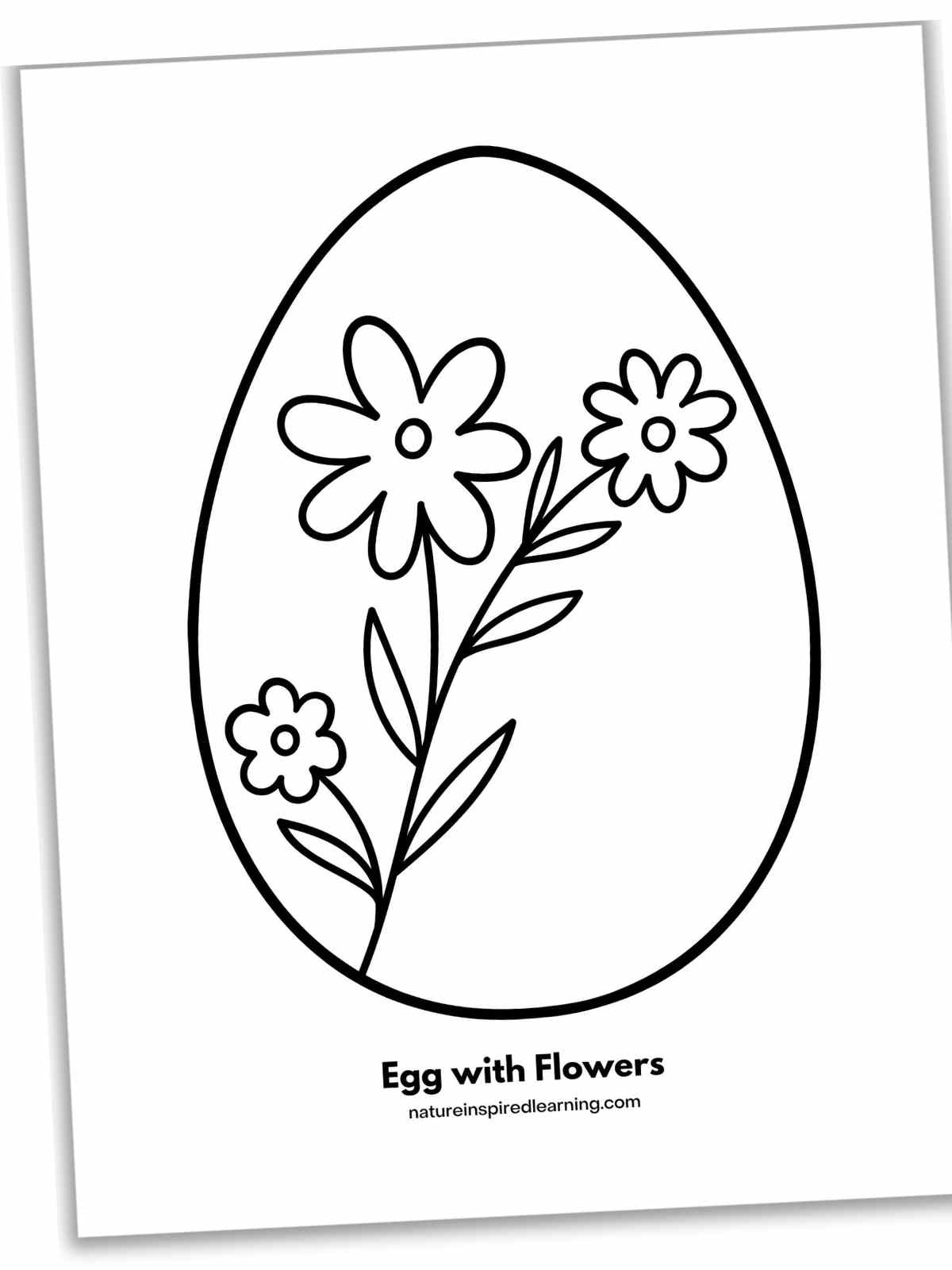 One large egg outline with a flower stem with three flowers and leaves inside