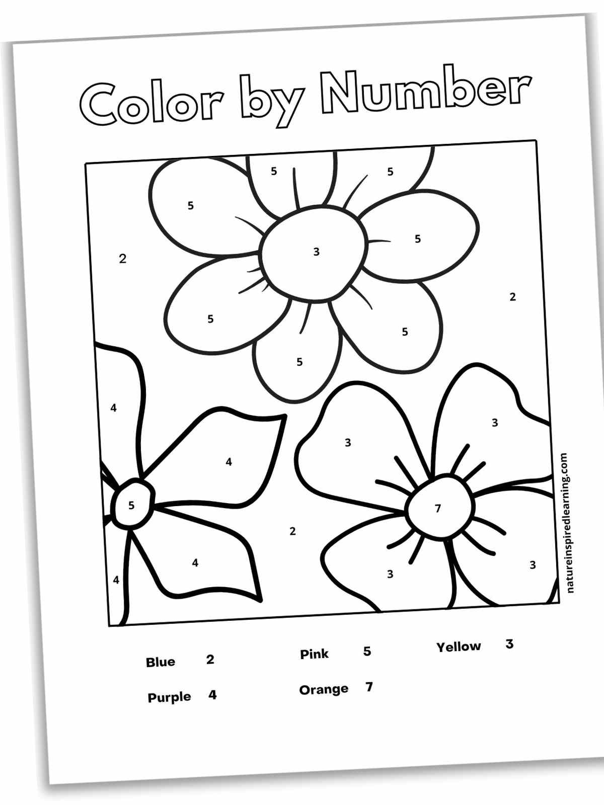 black and white sheet with three simple flower outlines with numbers within each petal, center, and the background. Number key at the bottom.