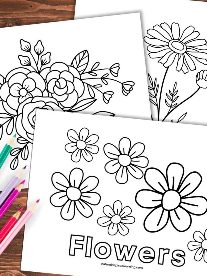 three coloring sheets with different flower designs overlapping on a wooden background with colored pencils on the bottom left corner.