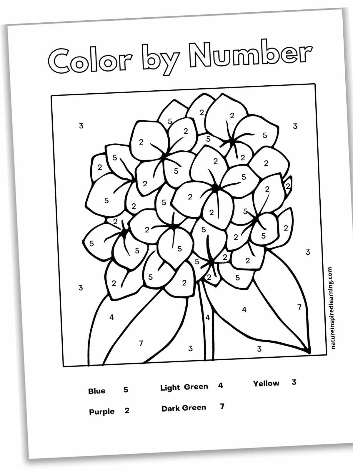 black and white sheet with a large hydrangea bloom with two leaves within a square with numbers on each petal, stem, leaves, and the background. Color key at the bottom.