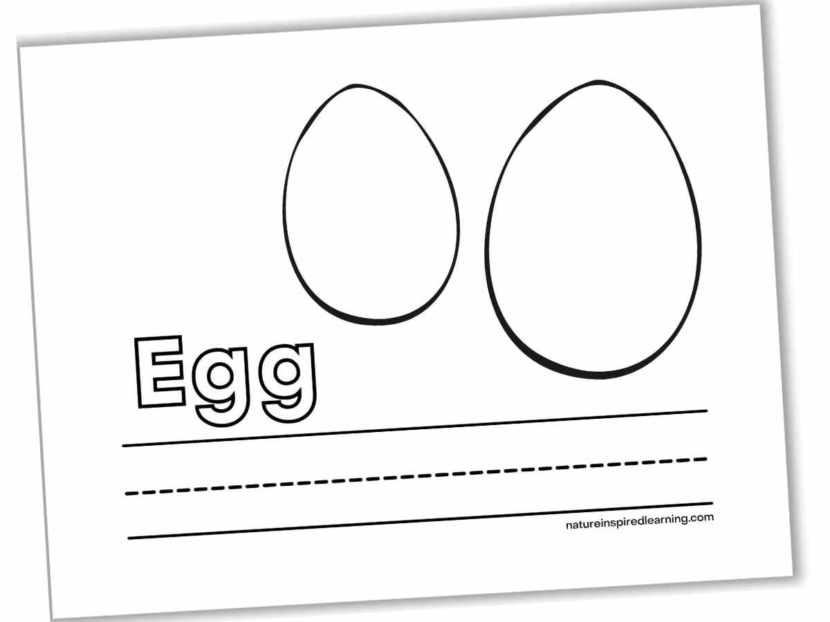 Sheet with Egg written in outline form, lines below, and two outlines of eggs above